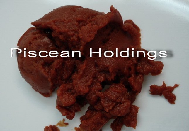Canned Tomato Paste