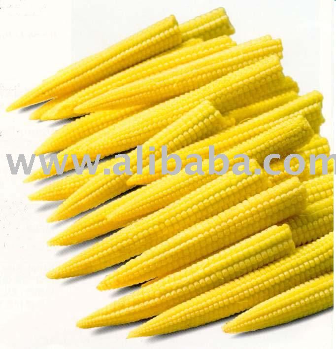 Canned Baby Corn