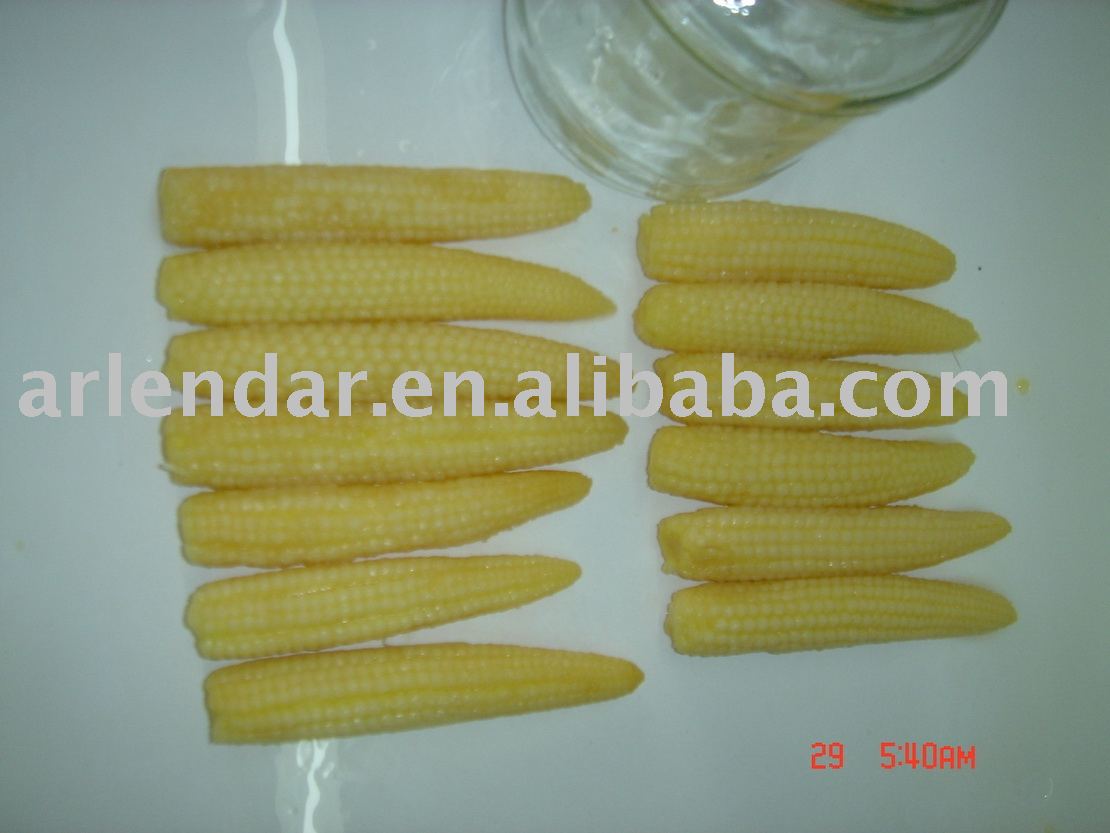 Baby corn/young baby corn/corn