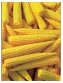 Baby corn in 15oz can
