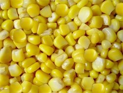 Sweet corn