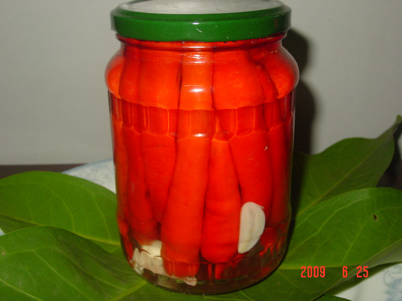 Export  Canned   Chili 