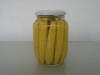 Baby corn