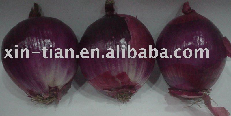 fresh red onion