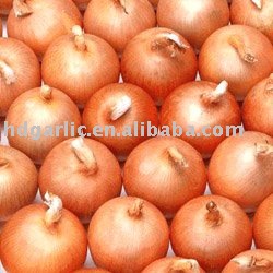 Chinese fresh yellow onion