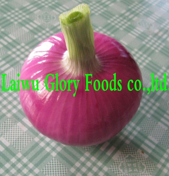 onion,fresh onion,red onion