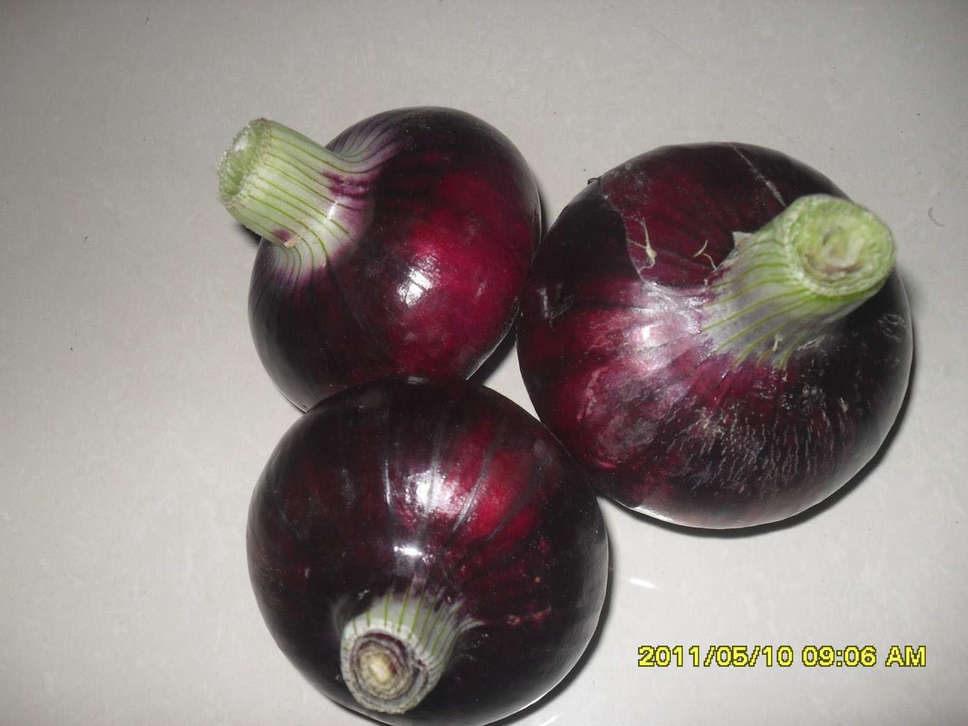 Fresh onion