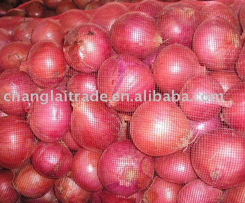 Fresh Red Onion