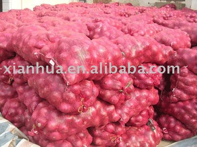 2011 New Chinese Fresh Onion (Yellow and Red )