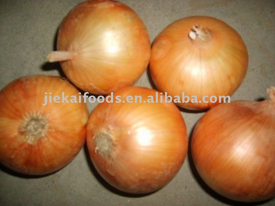 Yellow onion