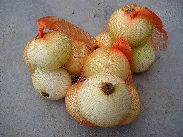 YELLOW ONION