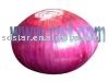red onion(fresh onion)
