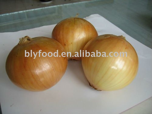 Chinese fresh onion