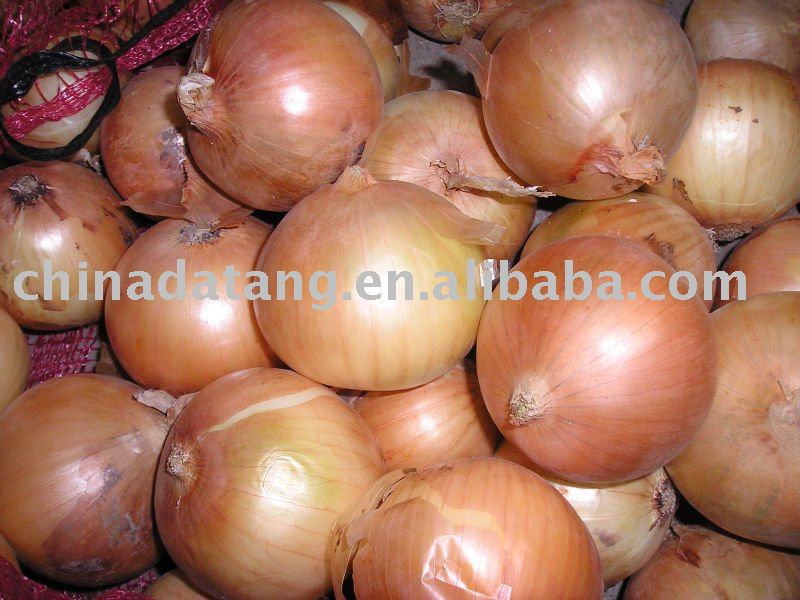 fresh yellow onion