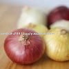 fresh white onion