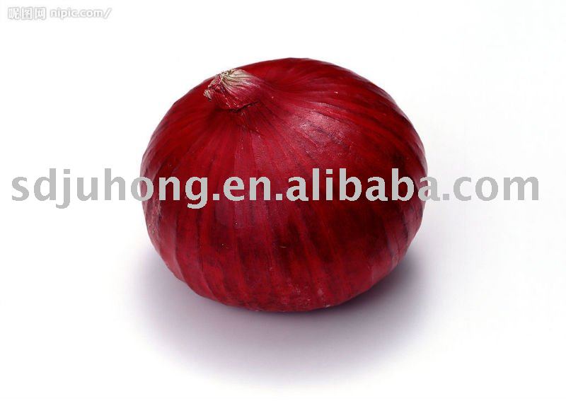 2011 Fresh red Onions