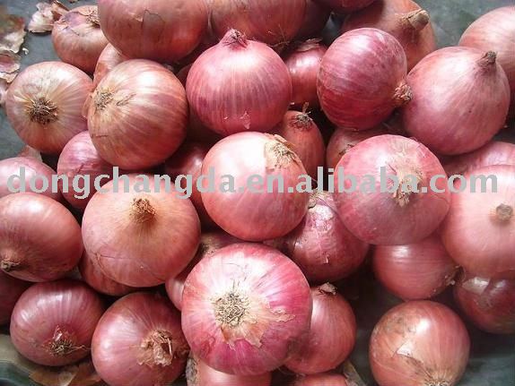 2011 Fresh yellow/red Onion