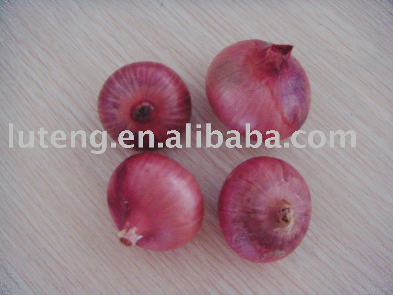 chinese  Red  Onion