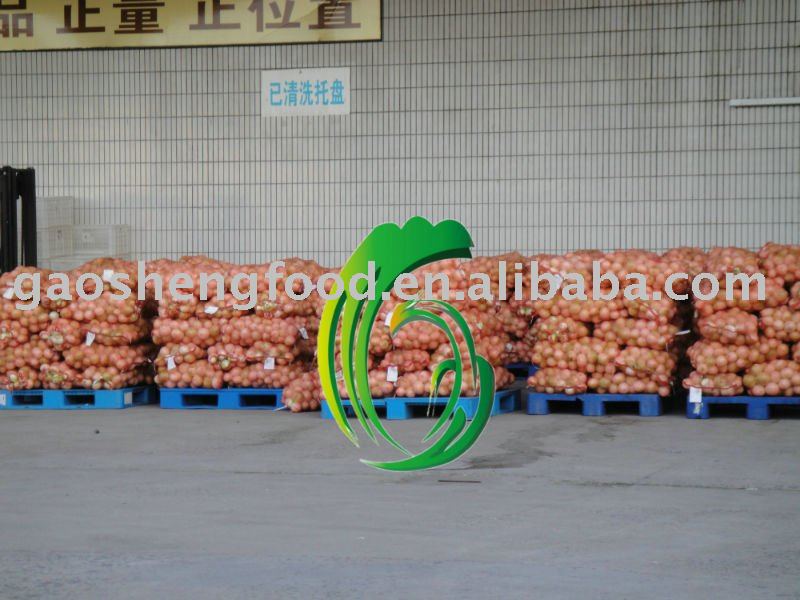 fresh red onion