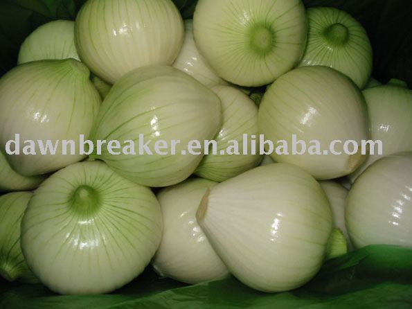 fresh peeled onion( spices/seasoning)