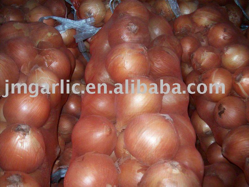 fresh red onion