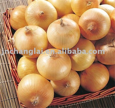 Fresh Yellow Onion