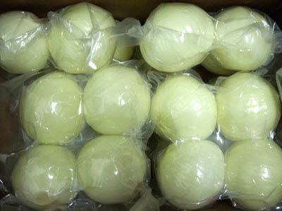  vacuum ed packed peeled  onion 