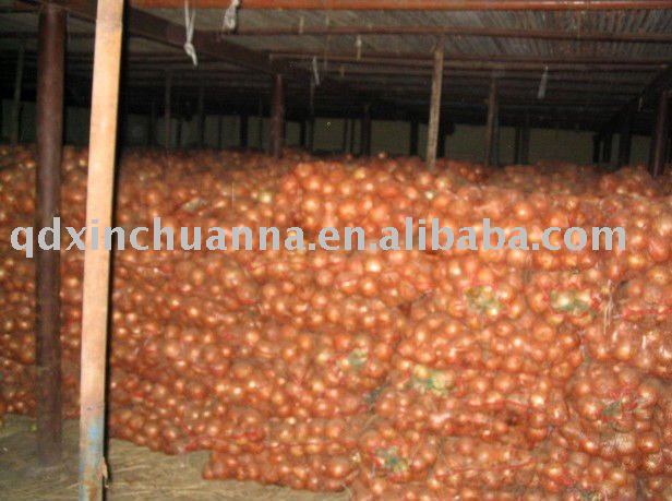 FRESH YELLOW ONION