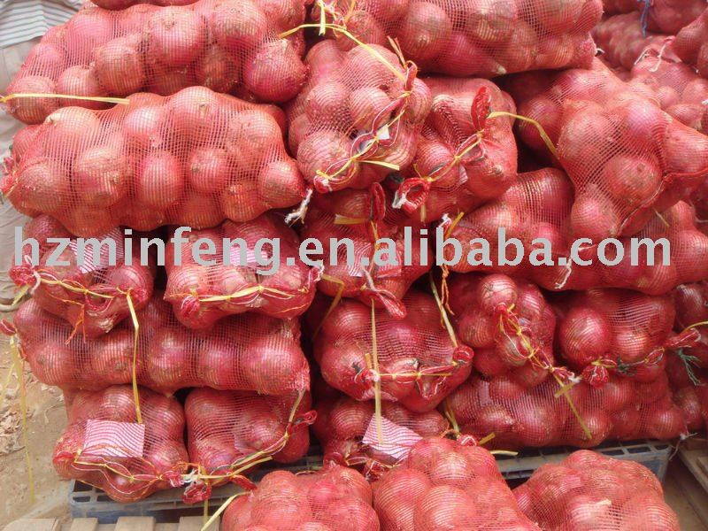 2011 red  onion