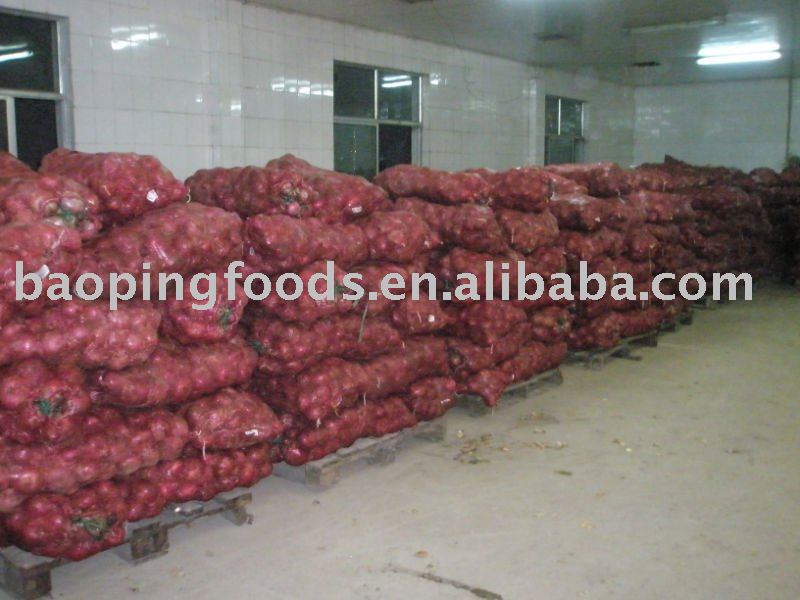 hot sell fresh red onion