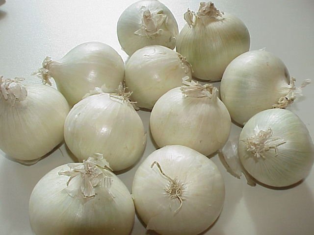 Indian Fresh  White   Onion , Export Quality  White   Onion , Bulk   White   Onion 