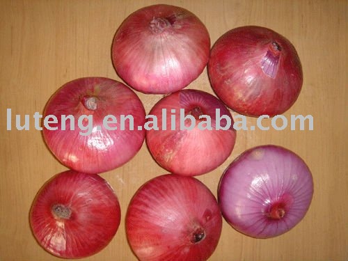 Fresh  Red Onion
