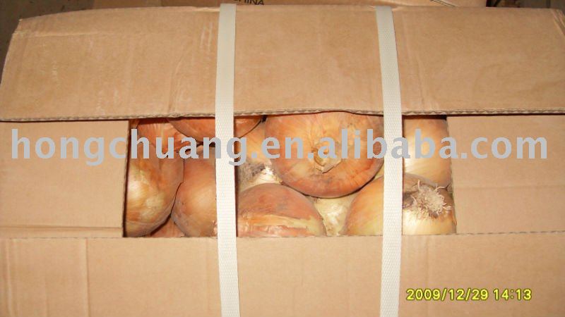 china good quality and low price onion