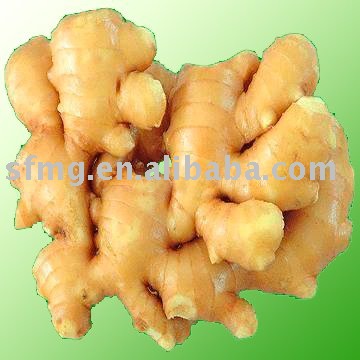 Fresh Ginger