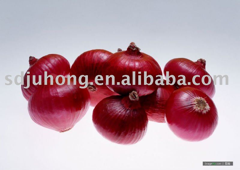 2011 2010 new crop fresh peeled onion of China