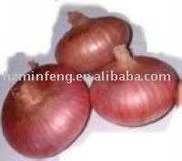 Onion