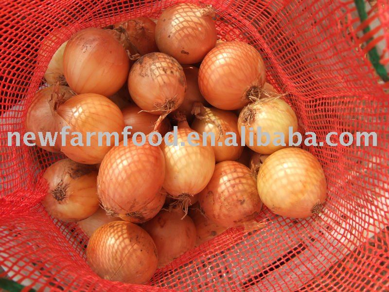 Fresh Onions