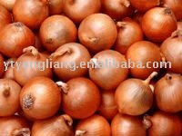 fresh yellow onion
