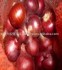 selling red onion, fruits brothers 