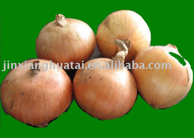 fresh yellow onion