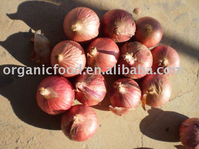 red onion