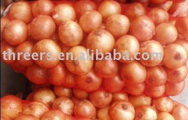 fresh onion