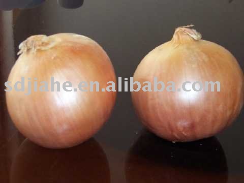 yellow onion