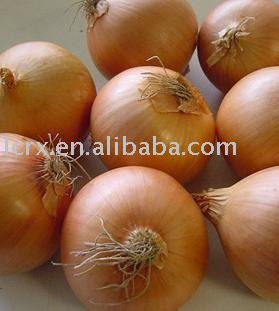 fresh yellow onion