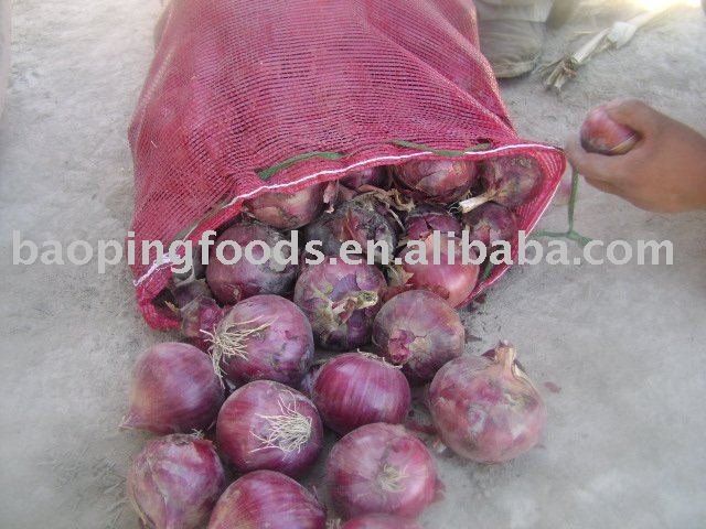 best quality fresh red onion