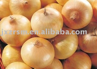 Fresh onion