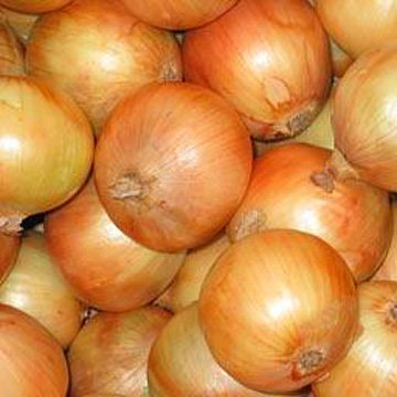 yellow onion