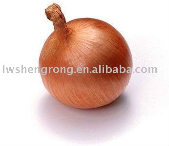 shandong onion,fresh onion,fresh red onion
