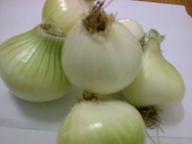 Fresh Onion