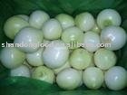 chinese fresh Onion